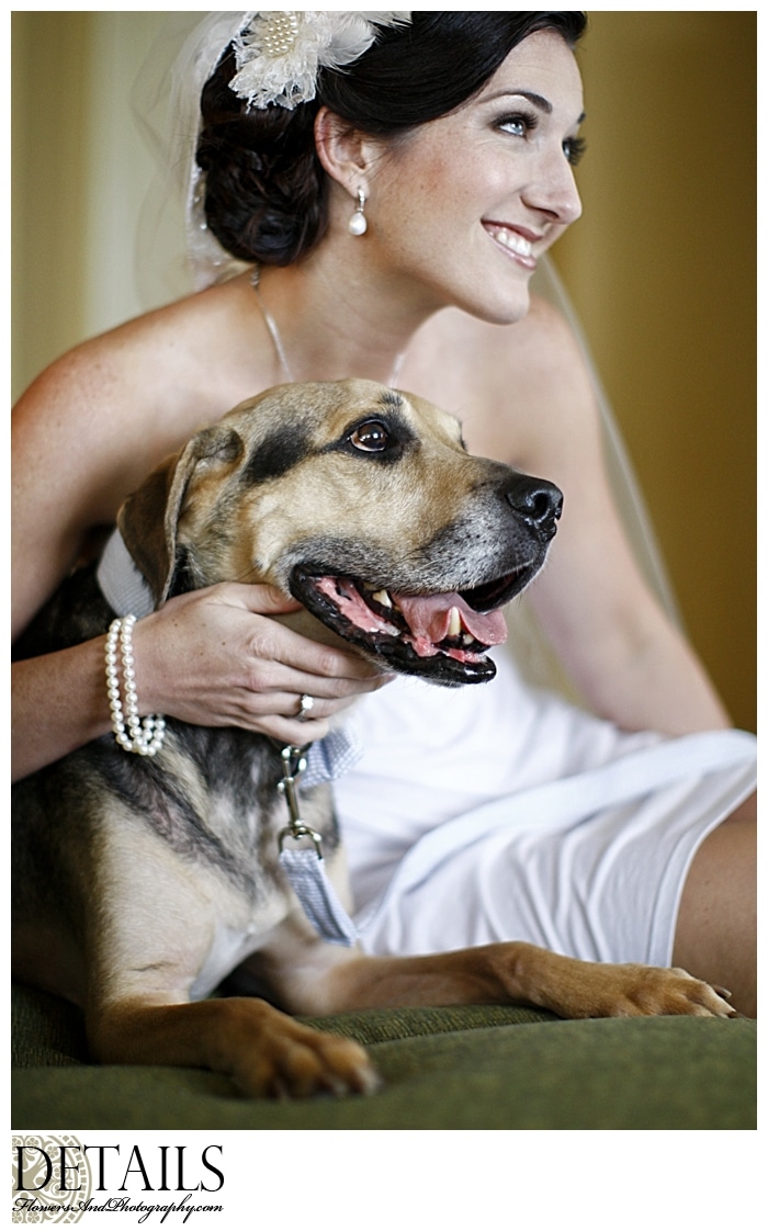 Bride sits with her dog